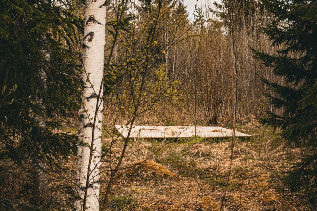 telkimisplats